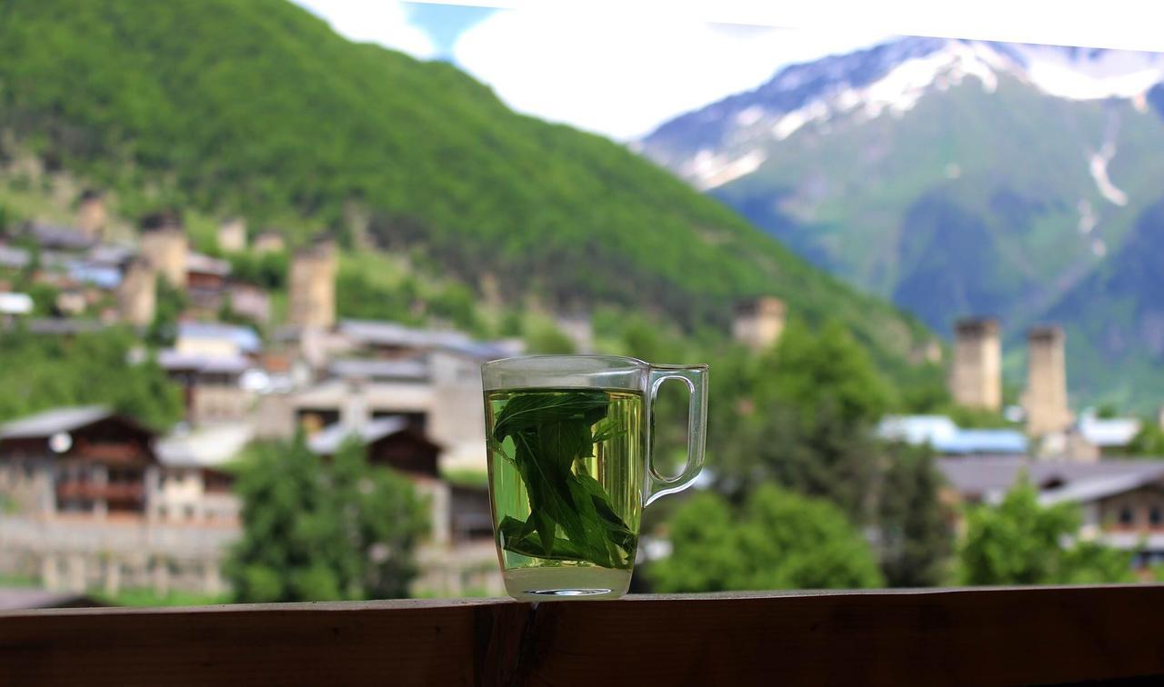 Travel Inn House Mestia • Მოგზაურის Სახლი Luaran gambar