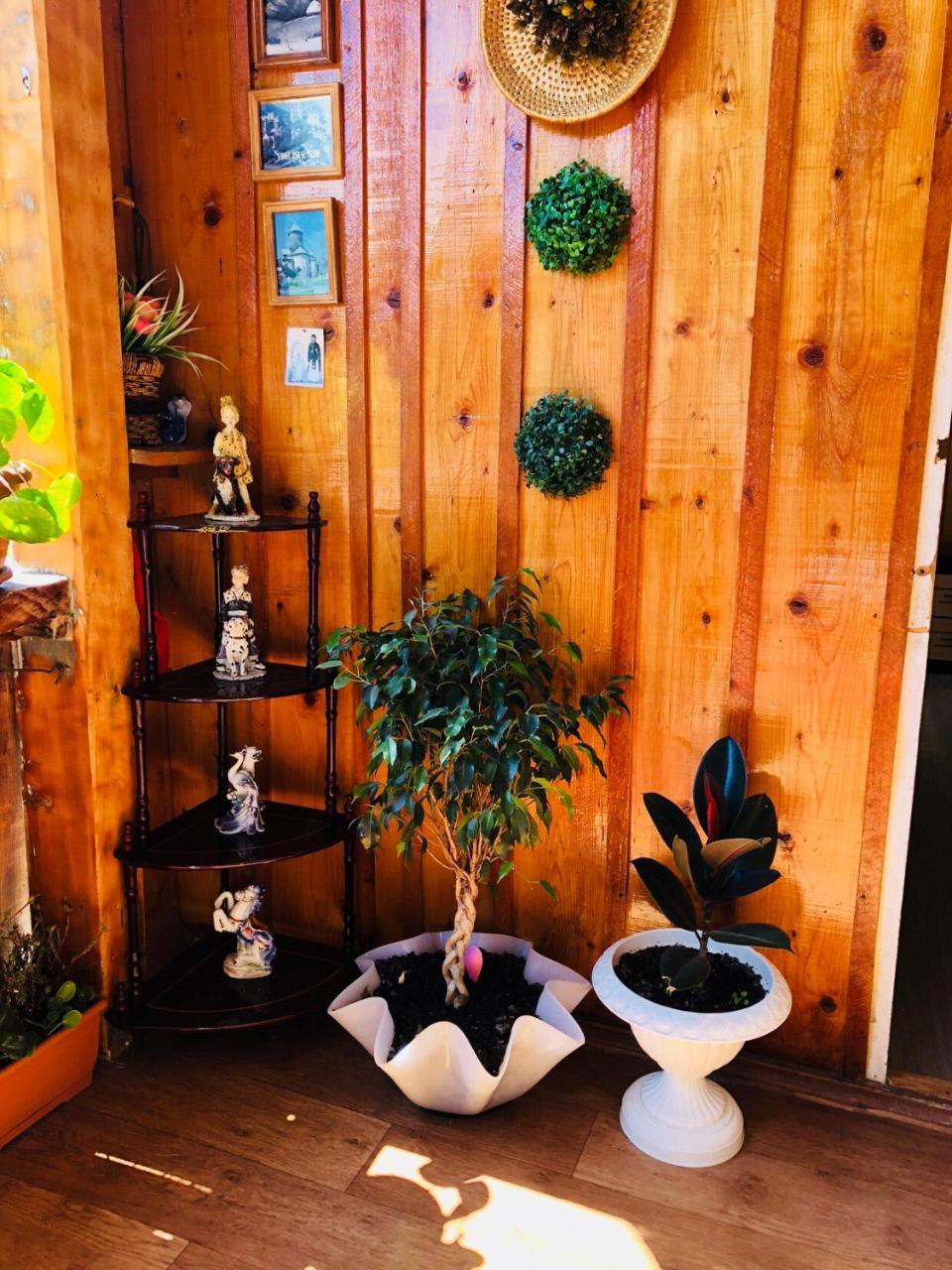 Travel Inn House Mestia • Მოგზაურის Სახლი Luaran gambar